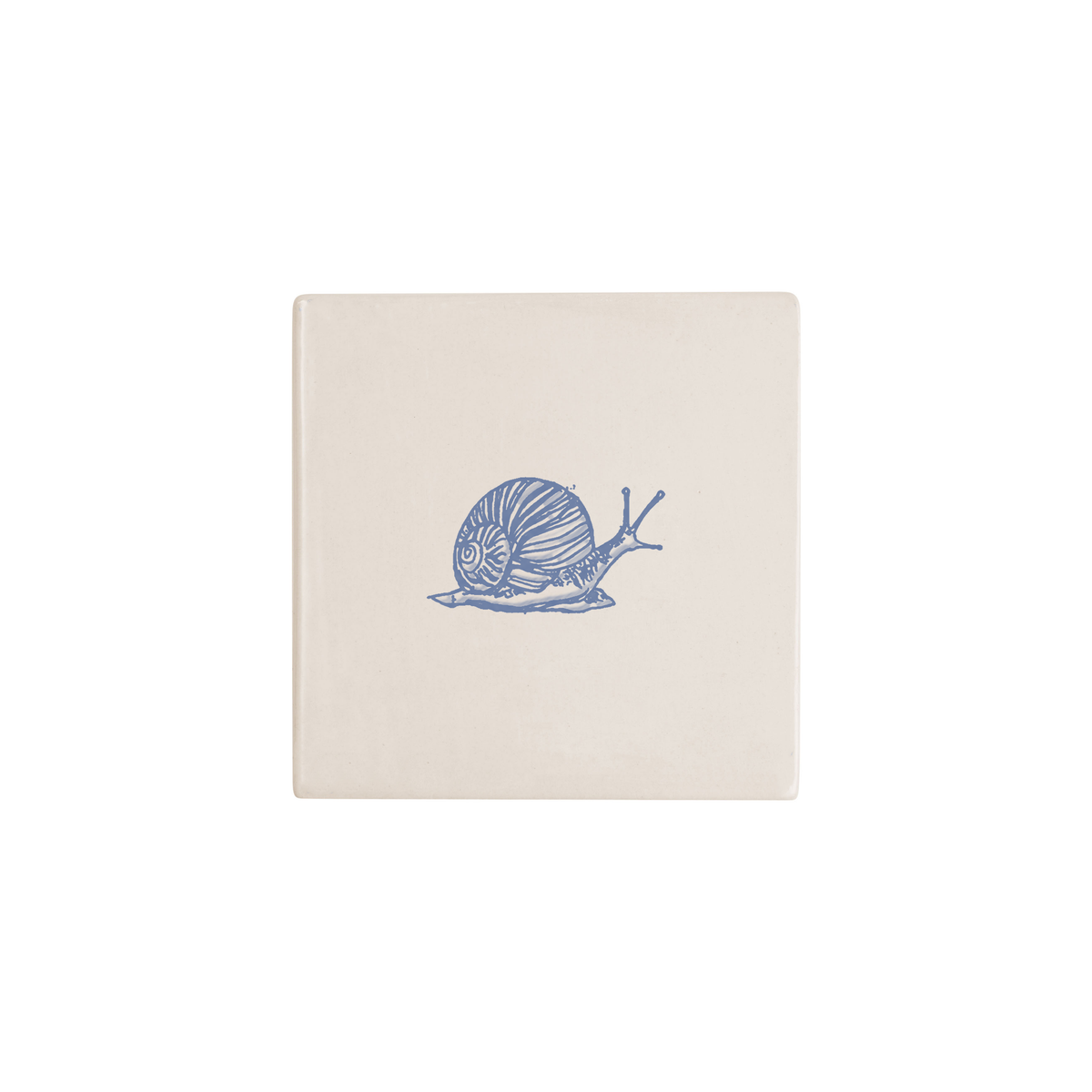 Snail