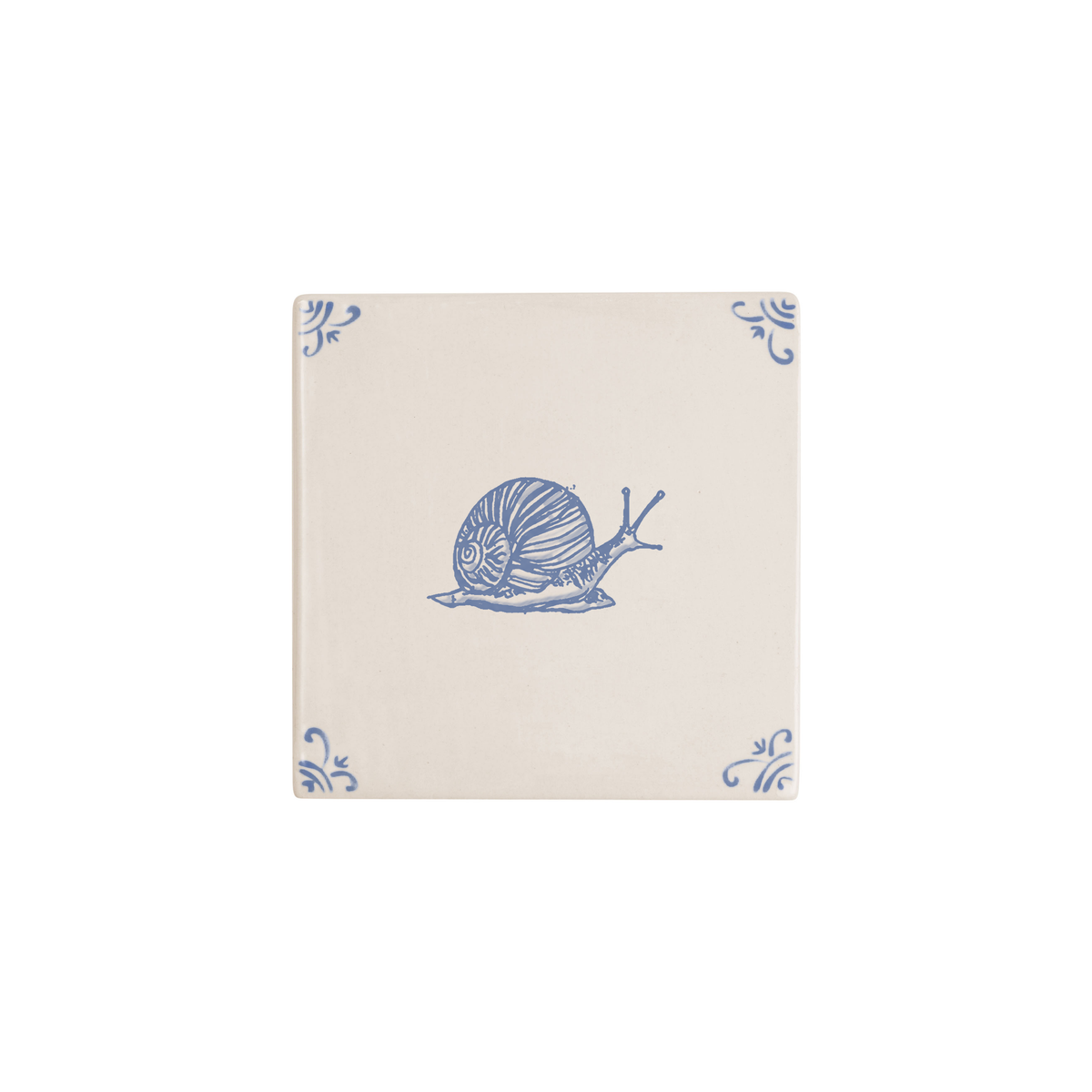 Snail