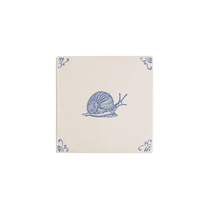 Snail