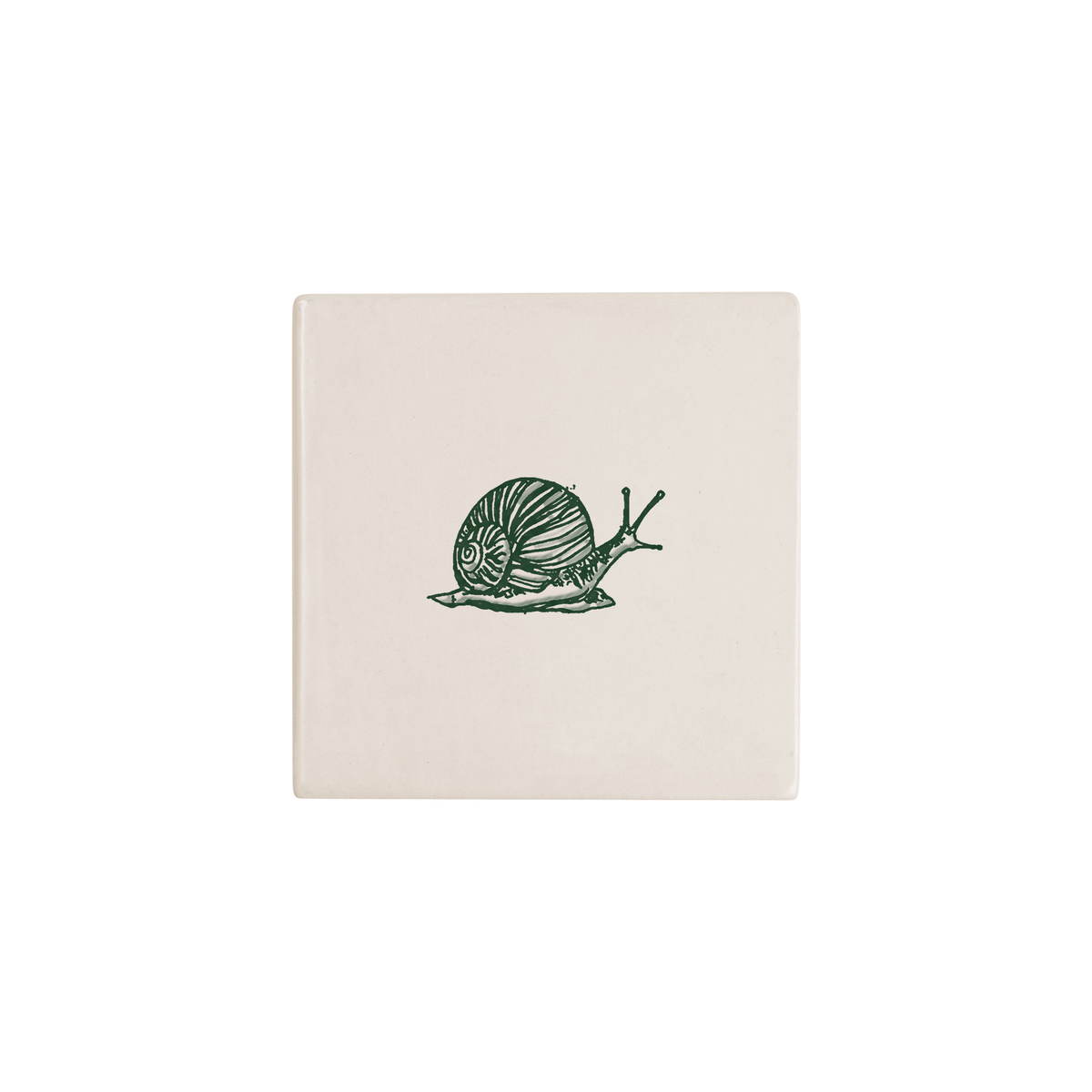 Snail