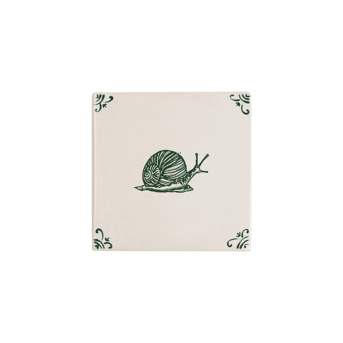 Snail