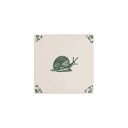Snail