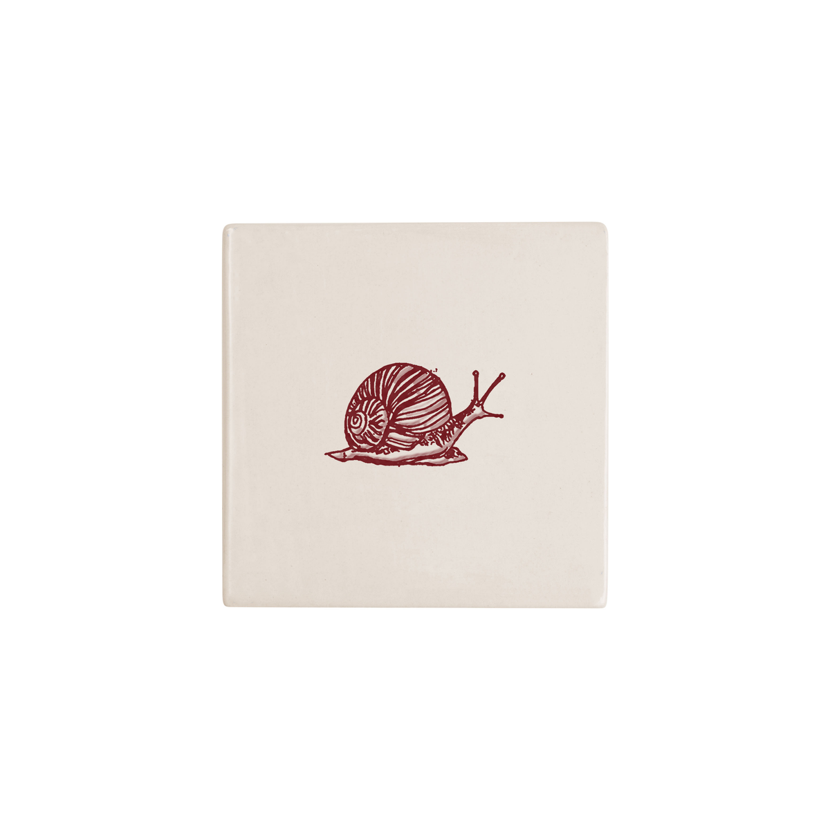 Snail