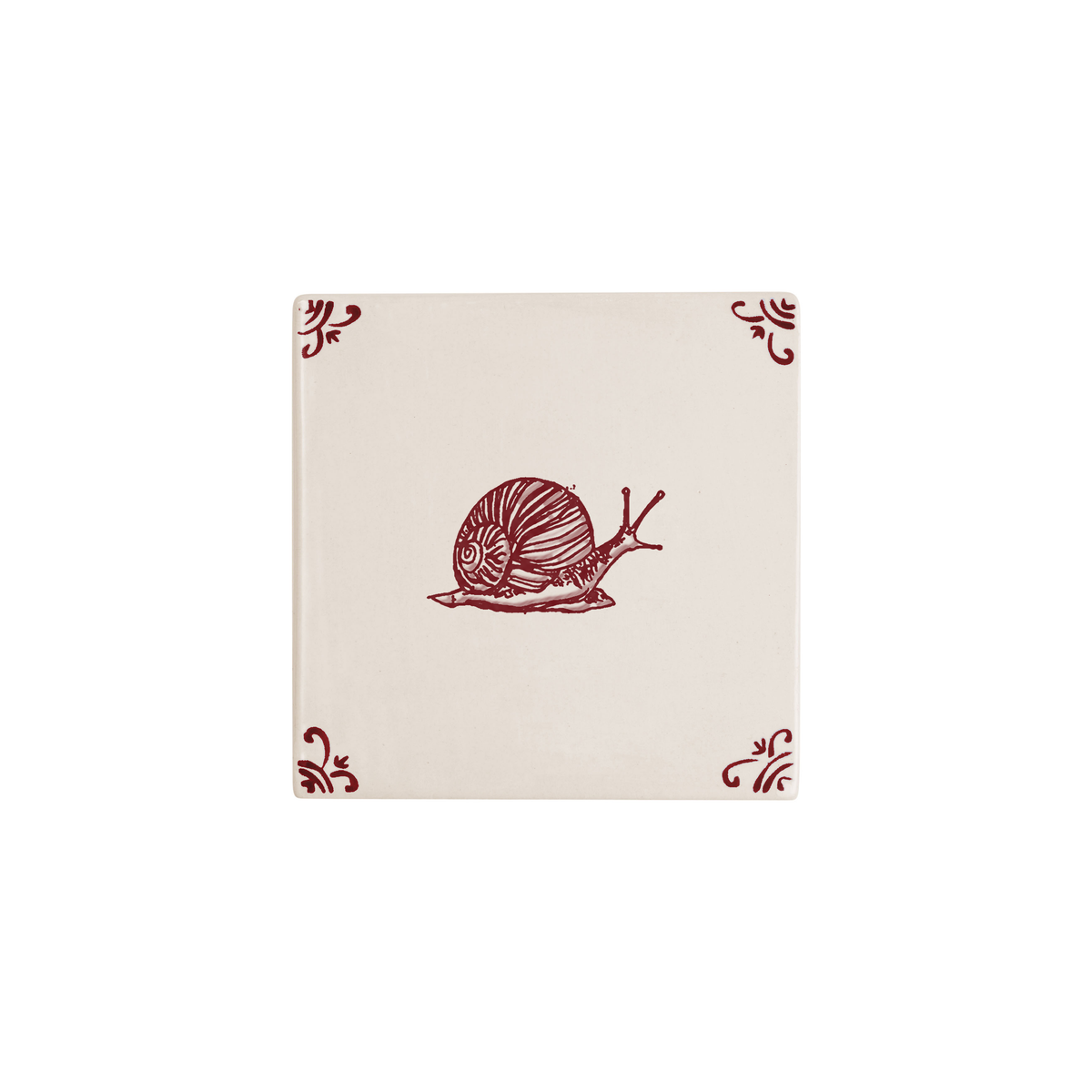 Snail