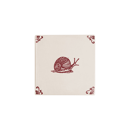 Snail